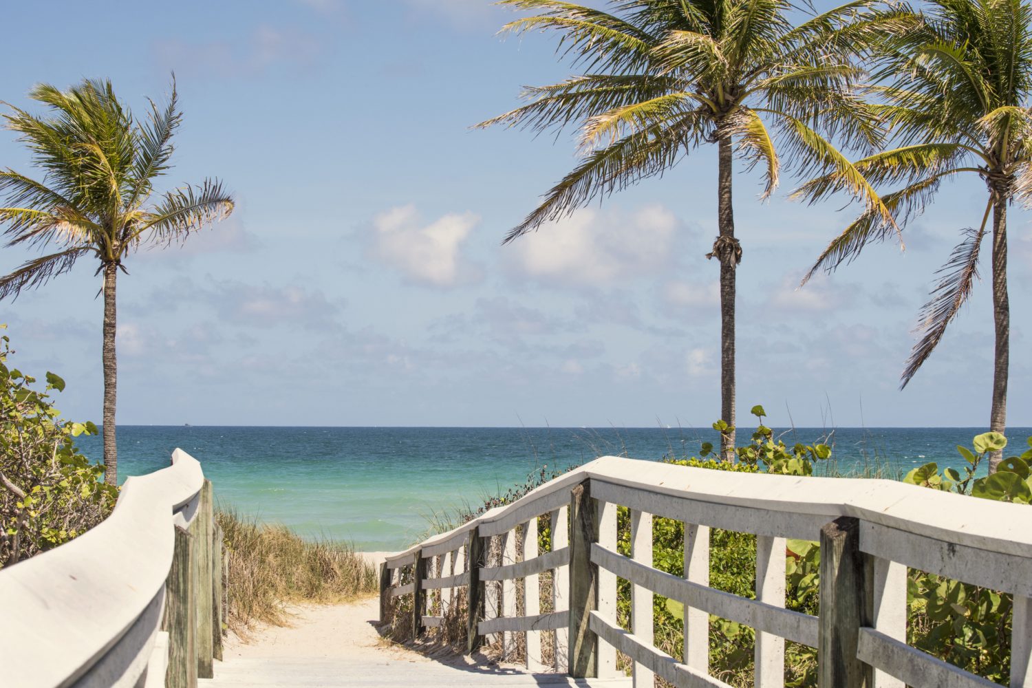 The 5 Best Gainesville Beaches