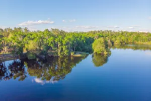 Here Is the Ultimate Guide to the Best Fishing in Gainesville, FL -  Sweetwater Inn