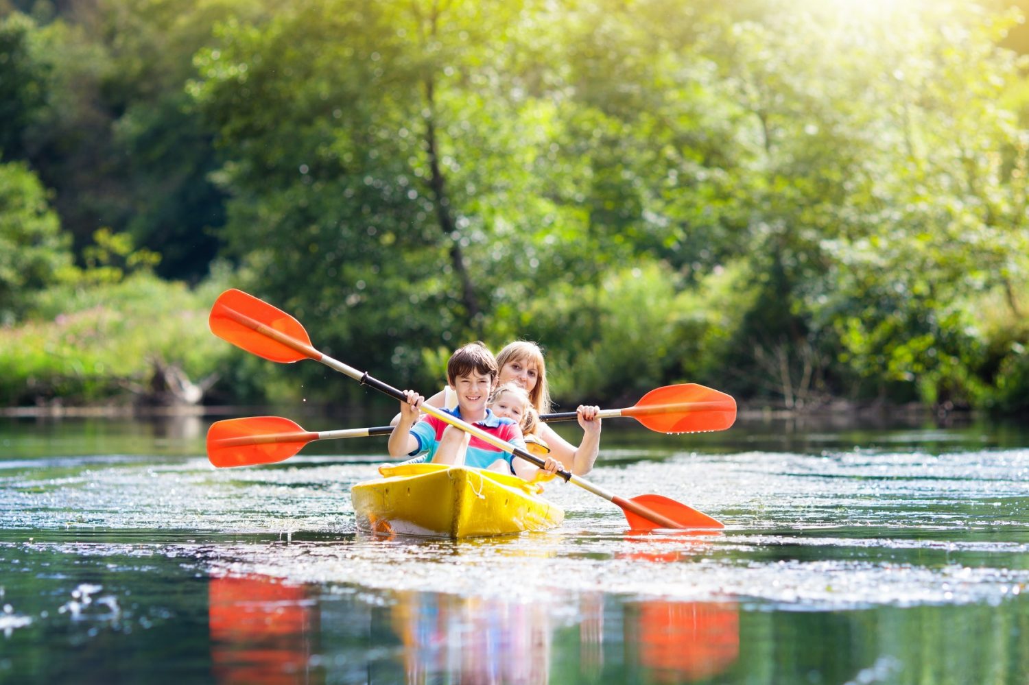 Here’s All You Need to Know About Kayaking in Gainesville
