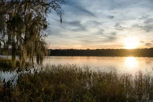 Here Is the Ultimate Guide to the Best Fishing in Gainesville, FL