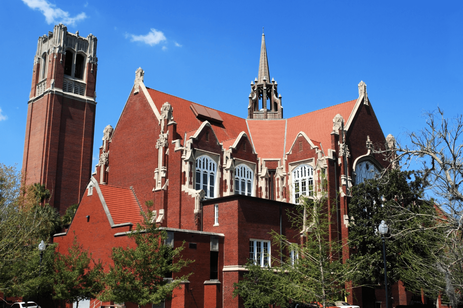 You Need To Explore the Beautiful Campus With a University of Florida Tour